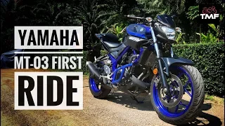 Yamaha MT03 Review