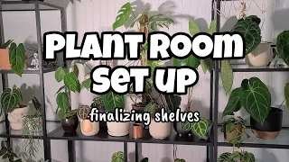 Setting Up the Plant Room Vlog Part 1 🌿🖤 putting together & decorating shelves