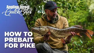 How To Prebait For Pike - Predator Fishing Quickbite