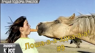 Улетная подборка приколов/ Best compilation of jokes – ВЫПУСК #9  (ноябрь 2015)