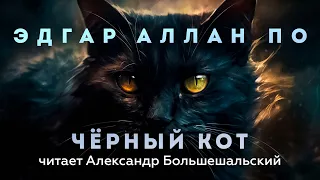 Эдгар Аллан По - Чёрный кот | Аудиокнига (Рассказ) | Читает Большешальский