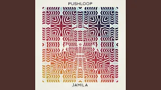 Jamila (The Widdler Remix)