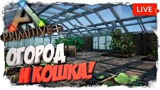 🦎 Ark: Primitive+ #7 Огород и Приручение Кошки!