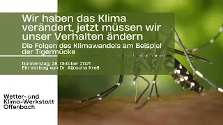 Die Folgen des Klimawandels am Beispiel der Tigermücke - Ein Vortrag von Dr. Aljoscha Kreß