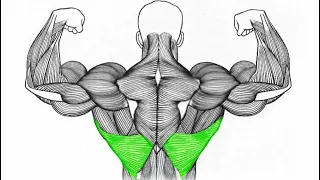 Подтягивания на массу мышц спины. Как накачать невероятную спину, отличные широчайшие мышцы #shorts