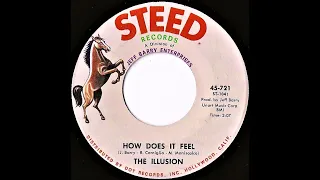 The Illusion- How Does It Feel (Mono)