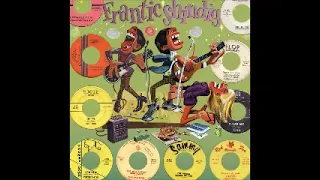 Various – Frantic Shindig : 60’s Rock & Roll, Novelty, Garage Rock Psych Music Album Compilation LP