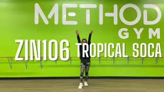 ZIN Volume 106  Zumba  -Tropical Soca - Aloha-  Zumba - Danceworkout - Coreografia