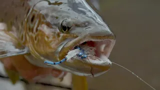 Fly Fishing Patagonia, Argentina at Las Pampas Lodge