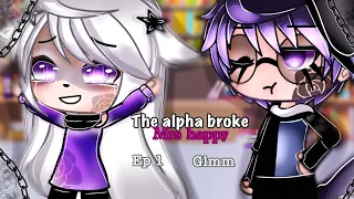 The alpha broke Mrs happy // Ep1 / 2 // warnings in disc