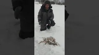 Рыбалка на Рузском водохранилище ловля плотвы в феврале.