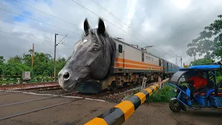 Dangerous Angry Black Horse Headed NJP Shatabdi Express 130 kmph Destroyed Skipping Railgate