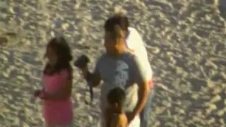 Baby Seal and lunging mom at the Santa Cruz Beach Boardwalk - San Lorenzo River