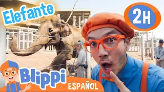 Conoce los animales del Zoologico | Blippi Español | Videos educativos para niños | Aprende y Juega