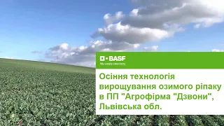 Осіння технологія вирощування озимого ріпаку в ПП «Агрофірма «Дзвони»», Львівська область