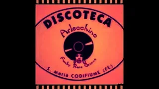 Arlecchino Disco (FE) Dj Livio Marzetti (3)