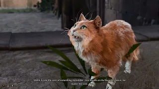 Malta the Cat Narrator in Baldur's Gate 3