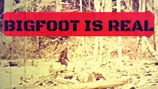 Enhanced Version of Classic Bigfoot Film Proves the Creature Exists