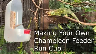 Make a Chameleon Feeder Run Cup