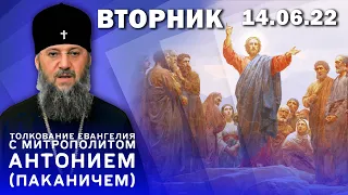 Толкование Евангелия с митрополитом Антонием (Паканичем). Вторник, 14 июня 2022 года