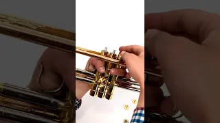 KGUmusic Trumpet Trim Kit