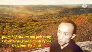 Plam Koj Thaum Noj Peb Caug Cover Nraug Siab Coob Xyooj Original Yis Lauj (music Official MV 2021)