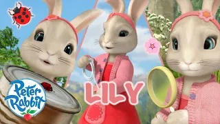 â€‹@OfficialPeterRabbit - ðŸŒŸ Lily's Brilliance ðŸŒŸ | Day of the Girl Special ðŸŽ‰ ðŸ’•ðŸŽ‰  | Cartoons for Kids