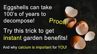 How to unlock the potential of eggshells in your garden!