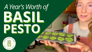 How to Make & Preserve PESTO That Stays VIBRANT Green