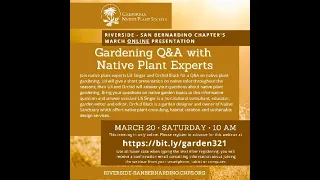 Native Plant Gardening Q&A with Lili Singer