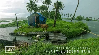 폭우 속 케랄라 역류의 상쾌한 산책 | 깊고 편안한 잠을 위한 ASMR 빗소리