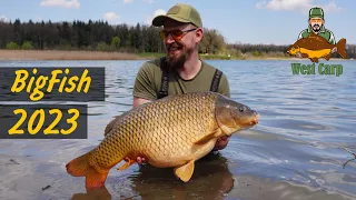 Мрія а не рибалка!)Big Fish 2023 Доброгостів.Стільки риби нам і не снилось!