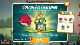 Angry Birds 2 AB2 Golden Pig Challenge! STRIKE!