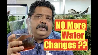 WATER CHANGE - GOOD or BAD | Aquarium Care | Mayur dev Aquascaper | Natural Aquarium Fish Keeping 4K