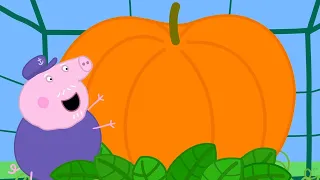 Peppa Pigs Pumpkin Contest 🐷 🎃 Adventures With Peppa Pig