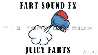 Fart FX Fart Sound Effects