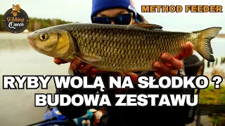 Jaka wędka? Jaki kołowrotek? Method Feeder budowa zestawu