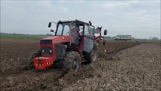 Oporowa Orka pod ramę ?Ursus tonie i dzielnie walczy Będzie groch jak złoto