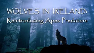 Wolves in Ireland: Reintroduction of Predators & the Global Plant-based Shift