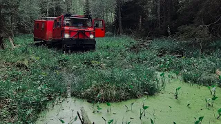 Нашли дикое Болото на Вездеходе😱 | По следам подготовленных Внедорожников