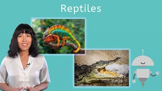 Reptiles - Biology for Teens!