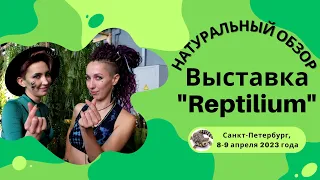 Где в Петербурге найти экзотических животных? Обзор на выставку Reptilium