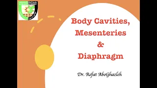 Embryology: Body Cavities, Mesenteries, and Diaphragm