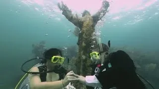 Miami couple get married underwater