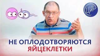 Понижен АМГ после резекции яичников. Не оплодотворяются яйцеклетки при ЭКО. Как забеременеть?