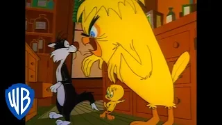 Looney Tunes | Monster Tweety Bird | WB Kids