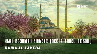 Рашана Алиева - Хьан безаман бlаьсте (Весна твоей любви) | KAVKAZ MUSIC CHECHNYA