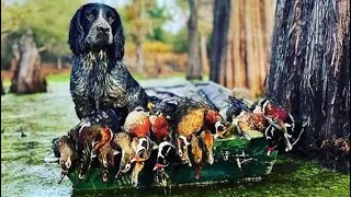 OPENING MORNING DUCK HUNT South GA (4 MAN LIMIT) !!!