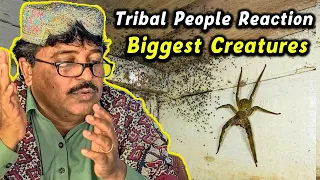 Tribal People React To Biggest Creatures Ever Captured - Villagers React To