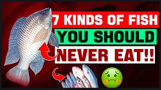 Eating These Fish can kill you:: 7 Kinds of Fish You Should Never Eat